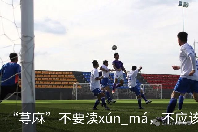 “荨麻”不要读xún má，不应该犯这个错!让人笑话!