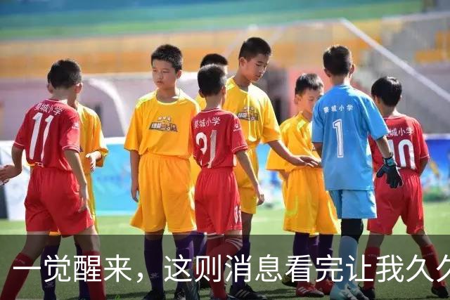 一觉醒来，这则消息看完让我久久难以平静！