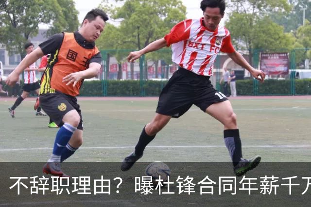 不辞职理由？曝杜锋合同年薪千万，担任男篮主帅，郭士强1年收入多少？