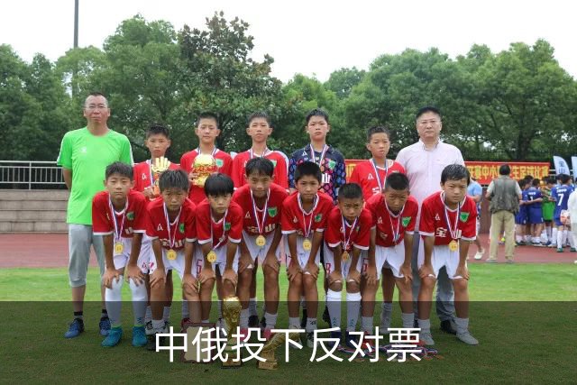 中俄投下反对票