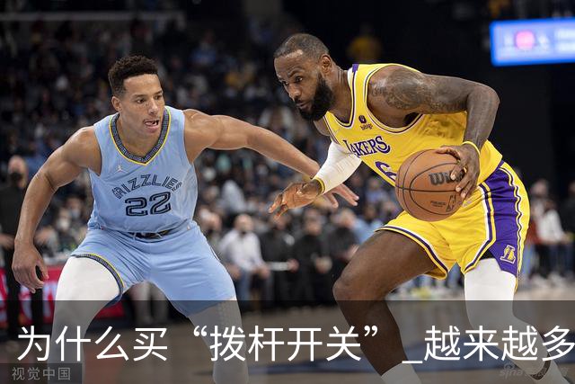 为什么买“拨杆开关” 越来越多了？现在年轻人的做法，高级又实用，晒给大家瞧瞧