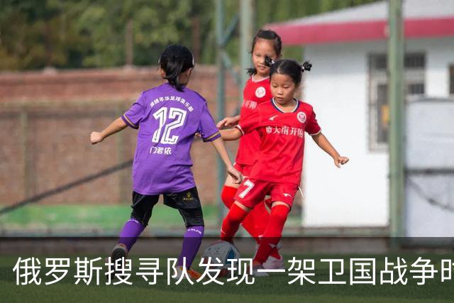 俄罗斯搜寻队发现一架卫国战争时期苏联飞机的残骸，发动机保存完好