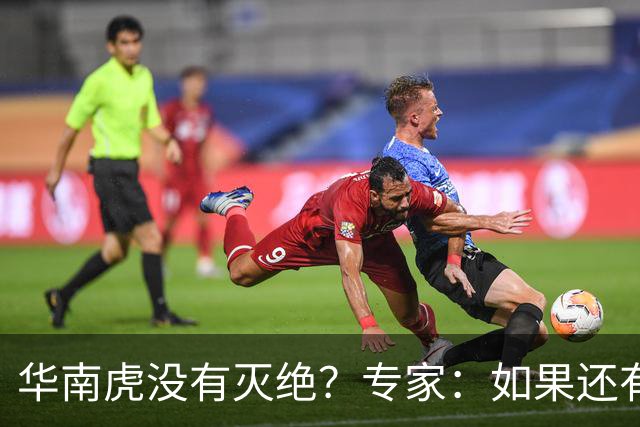 华南虎没有灭绝？专家：如果还有，最可能在山西，不在广东福建