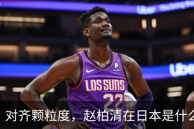 对齐颗粒度，赵柏清在日本是什么水平？