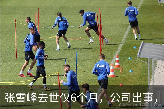 张雪峰去世仅6个月，公司出事，武亮“转移财产”只是冰山一角