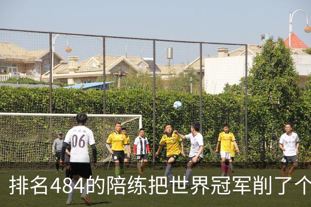 排名484的陪练把世界冠军削了个3比0 国乒这张“底牌”藏得有点深