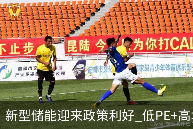 新型储能迎来政策利好 低PE+高增长潜力股出炉