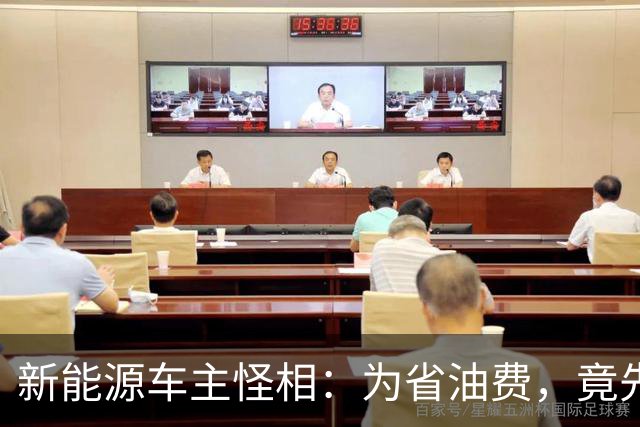 新能源车主怪相：为省油费，竟先花十几万买车，再砸几万买车位