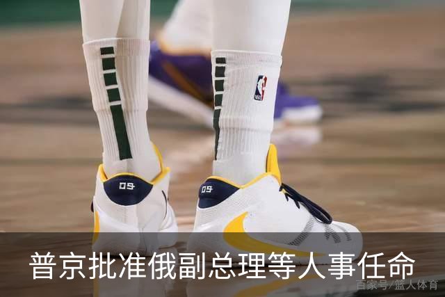 普京批准俄副总理等人事任命