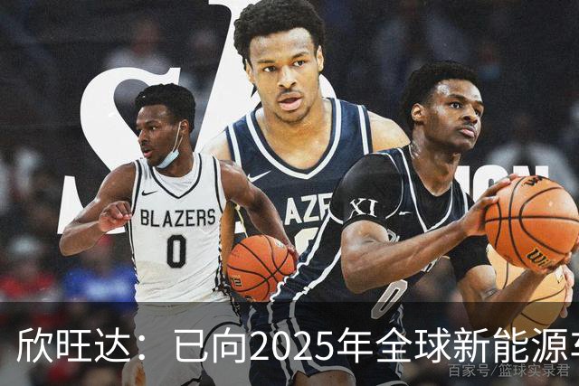 欣旺达：已向2025年全球新能源车厂出货量前十名中的八家客户供应动力类电池