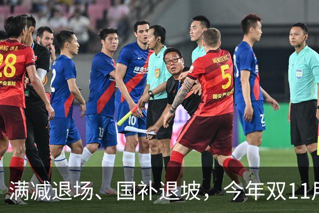 满减退场、国补退坡，今年双11用什么增长