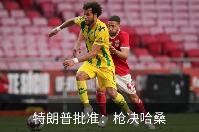 特朗普批准：枪决哈桑