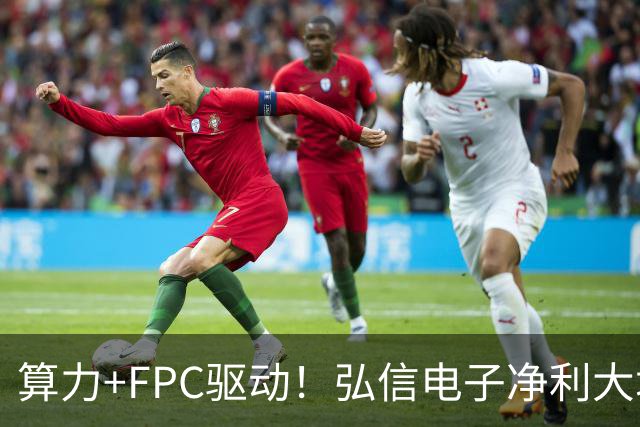 算力+FPC驱动！弘信电子净利大增139%，股价较年内高点回撤超40%