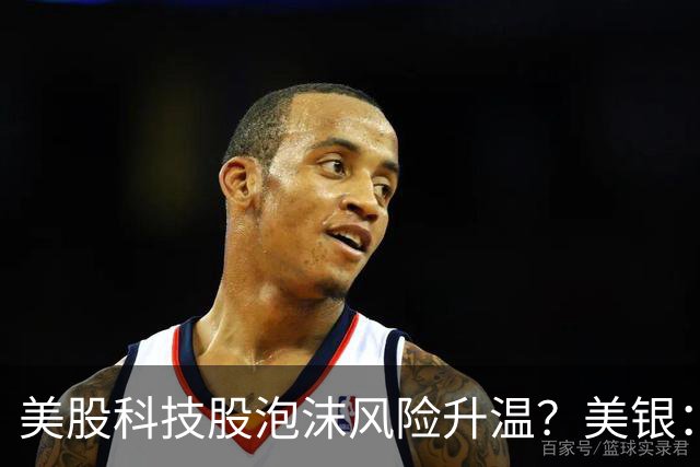 美股科技股泡沫风险升温？美银：纳指100上涨过度依赖少数AI巨头 可通过期权捕捉机会