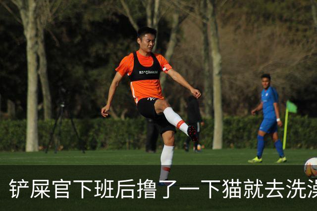 铲屎官下班后撸了一下猫就去洗澡了，洗完后发现猫居然把他的内裤埋了