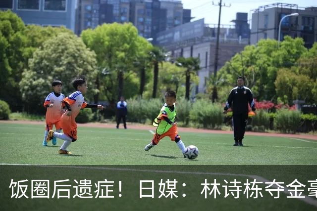 饭圈后遗症！日媒：林诗栋夺金毫无喜悦感 亚军王楚钦现场呼声更高